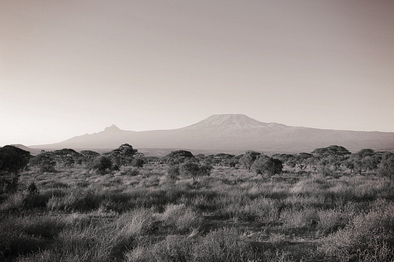 africa, kilimanjaro, kenya-4278138.jpg