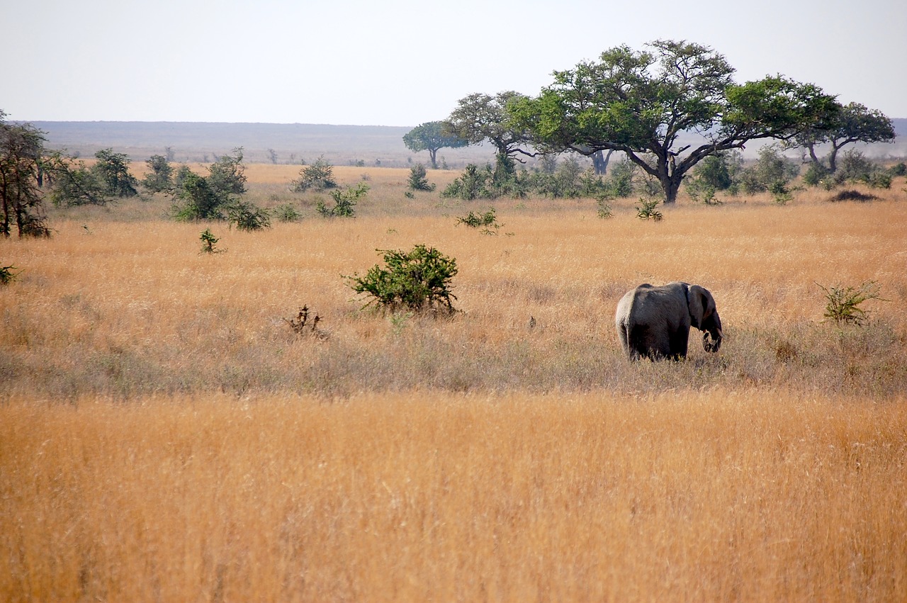14 days Tanzania wildlife safari