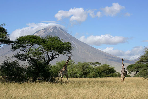 Tanzania walking safari