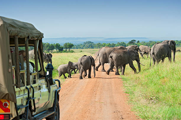 High End Tanzania Safari